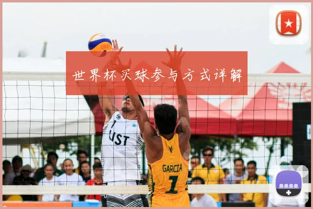 世界杯买球参与方式详解